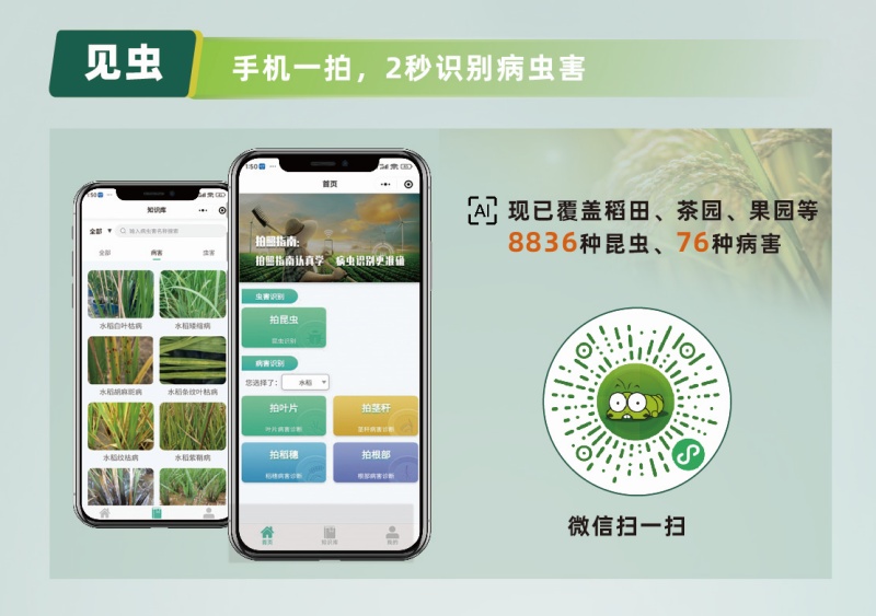 【AI+植保】1張照片抵過(guò)10年經(jīng)驗(yàn)，8000余種病蟲(chóng)害全曝光！